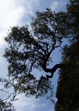 Barrancos de Cuenca